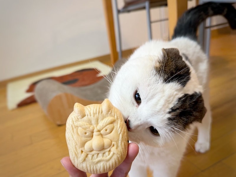 飼い主が珍しいものをもらったらしい。甘い匂いのなまはげさん？