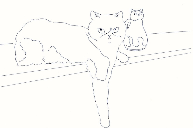 今日１日を、このイラストと。鳥屋 菜々子vol.9