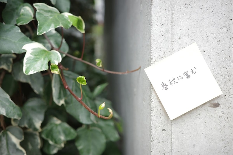 タレント・歌人のカン・ハンナさんの1か月連載コラムが始まります。初回は、「春秋に富む。日本の美しいことば」について。