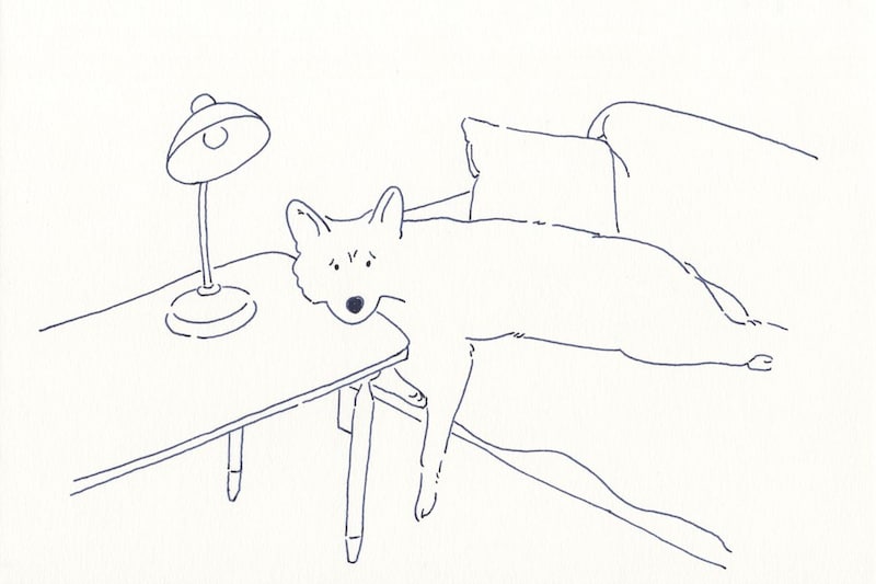 今日１日を、このイラストと。鳥屋 菜々子vol.11