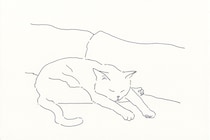 今日１日を、このイラストと。鳥屋 菜々子vol.13