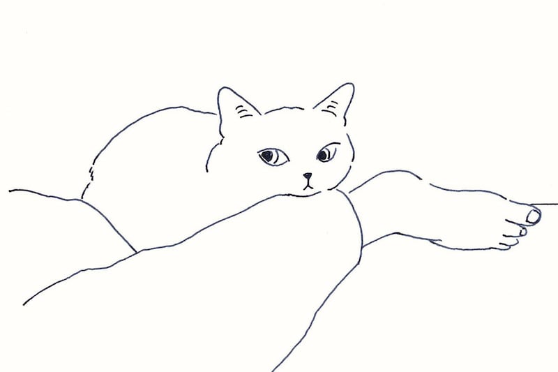 今日１日を、このイラストと。鳥屋 菜々子vol.14