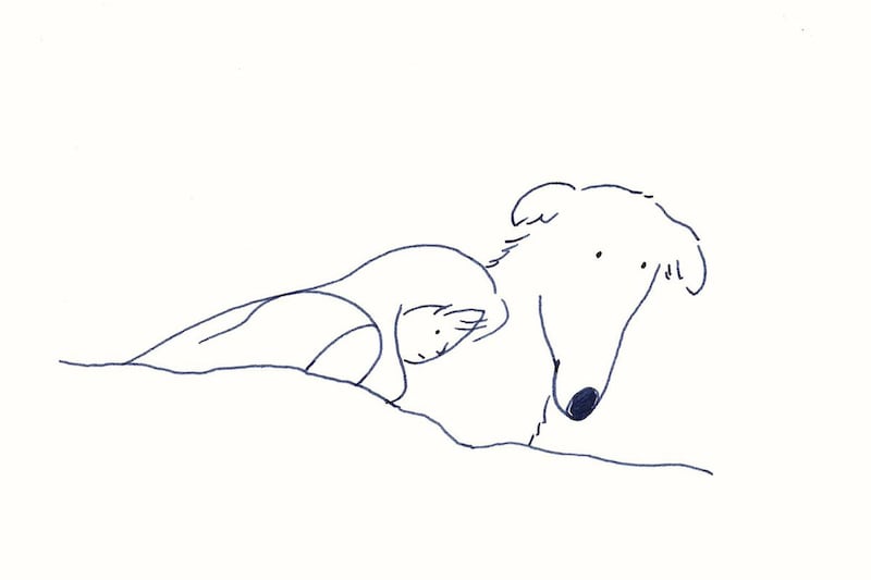 今日１日を、このイラストと。鳥屋 菜々子vol.17