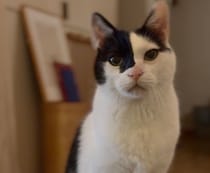 今日も、おかわり交渉。