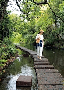 ”水の都”の顔を持つ静岡・三島、源兵衛川の散歩道を歩く。