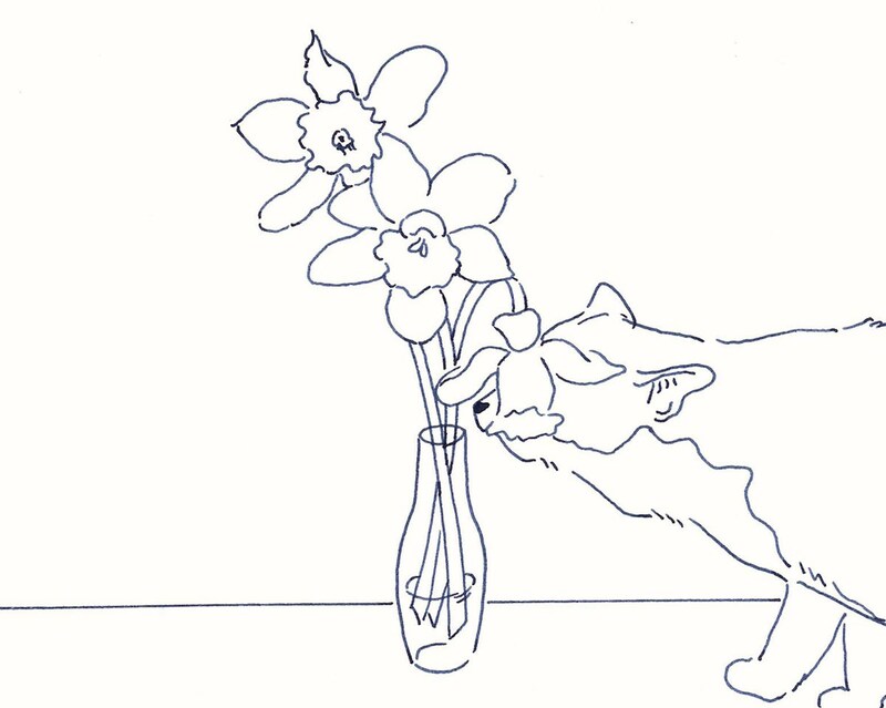 今日１日を、このイラストと。鳥屋 菜々子vol.19