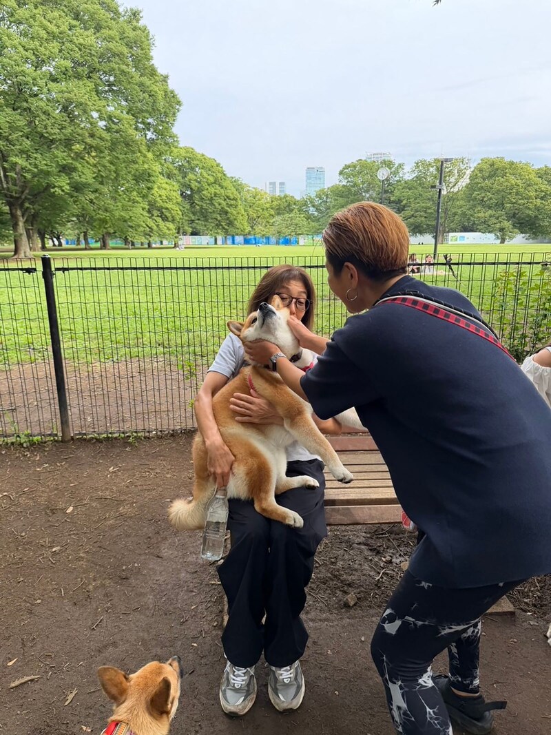 夕方のドッグランで珍しく走るぼく。