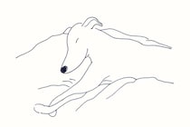 今日１日を、このイラストと。鳥屋 菜々子vol.21