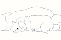 今日１日を、このイラストと。鳥屋 菜々子vol.22