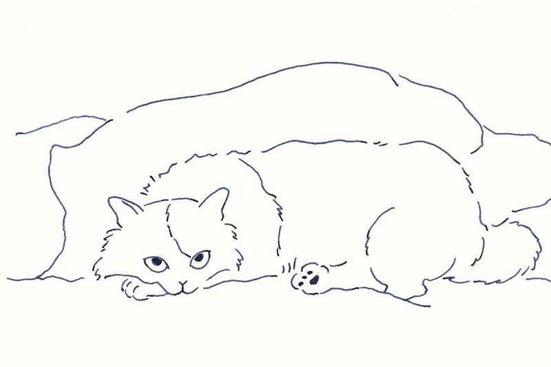 今日１日を、このイラストと。鳥屋 菜々子vol.22