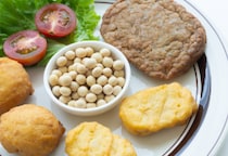 「○○ミート」「○○ミルク」植物由来食品の表示はどこまでOK？　EUで「ベジバーガー禁止」の動き、日本の法規制は…