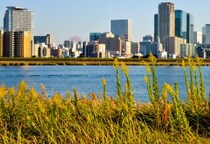 「ケンカしようや」同級生に“オモチャ”にされた息子　「加害者もその親も許せない」子どものいじめ被害、保護者が“有利に”動くには？【弁護士解説】