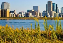 「ケンカしようや」同級生に“オモチャ”にされた息子　「加害者もその親も許せない」子どものいじめ被害、保護者が“有利に”動くには？【弁護士解説】