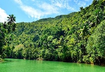 戦後29年間ジャングルに潜伏、“日本兵”小野田寛郎少尉は戸籍上で「二度」死んでいた…“遺体なき戦死”どう認定？　「戦死公報」知られざる仕組み