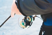 釣り人の無断侵入に「1回22万円請求」大阪・泉大津フェニックスの“最終警告”に賛否…裁判で認められる賠償額「判断基準」は【弁護士解説】