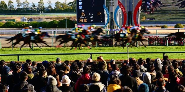 有馬記念売り上げ“713億円超”空前の競馬ブームの裏で…何気ないSNS投稿が“退場”リスクに？　JRA独自ルールを弁護士が解説