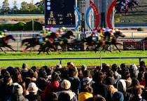 有馬記念売り上げ“713億円超”空前の競馬ブームの裏で…何気ないSNS投稿が“退場”リスクに？　JRA独自ルールを弁護士が解説