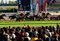 有馬記念売り上げ“713億円超”空前の競馬ブームの裏で…何気ないSNS投稿が“退場”リスクに？　JRA独自ルールを弁護士が解説