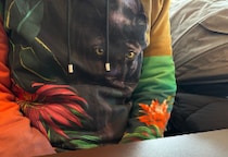 男性育休「手取り10割」給付も、3か月間は入金なし？　貯金を切り崩して生活…子育て中の夫婦が直面した“切実な”課題