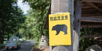 クマ出没は早くも「警報レベル」…「死んだふり」は有効？　遭遇時に“絶対にやってはいけない”行動