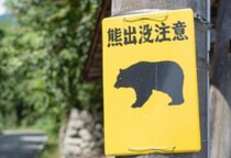 クマ出没は早くも「警報レベル」…「死んだふり」は有効？　遭遇時に“絶対にやってはいけない”行動