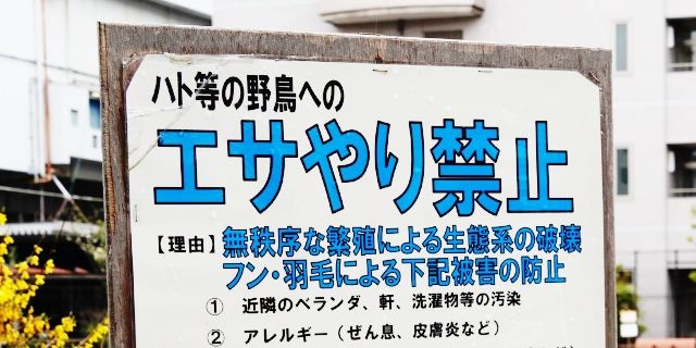 「個人が警察に訴えても、すぐに動いてもらうのは難しい」ハトへの迷惑エサやりで“全国初”書類送検　なぜ立件ハードル高い？