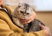 「ペットがいたら生活保護NG」は“誤り“だが…ごはん代、治療費、不妊手術、住居確保　直面する「お金」の問題