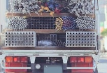 高速道路の劣化“9割”が「過積載車両」原因…国民の税金で“尻ぬぐい”の不条理　NEXCOら“常習犯”取り締まり強化