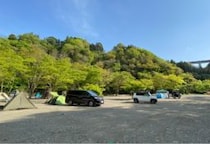 キャンプ中に倒木がテント直撃、女性死亡　事故から3年後に“施設管理者”書類送検…“自然の中での事故”に「業務上過失」が問われた理由【弁護士解説】