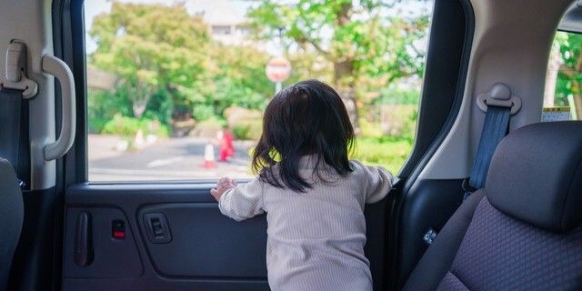 首を挟まれる死亡事故も「車のパワーウインドウ」“大根”なら切断…国民生活センターが注意呼びかけ