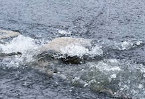 千葉の大雨、死者8人に…被災者の“医療費免除”と“最大850万円の支給”を医師団体が国に緊急要望