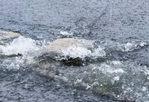 千葉の大雨、死者8人に…被災者の“医療費免除”と“最大850万円の支給”を医師団体が国に緊急要望