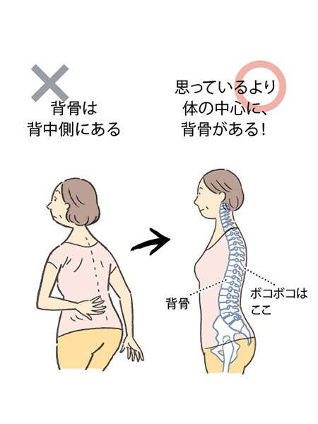 骨の位置の思い込みが体を疲れさせます!
