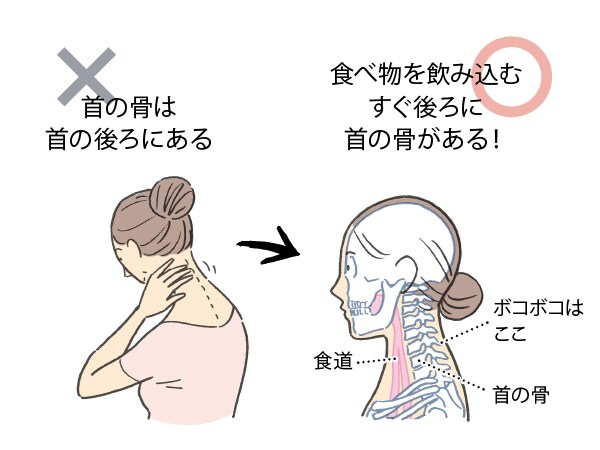 骨の位置の思い込みが体を疲れさせます!