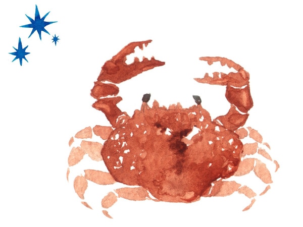 【全体運・総合運】蟹座2023年4月