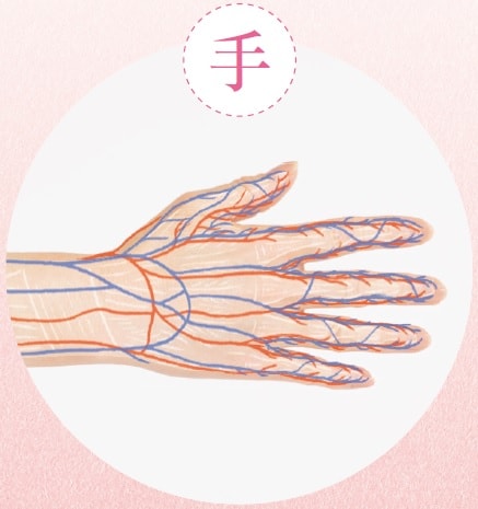 筋肉＆血管にアプローチして肌を引き上げる！