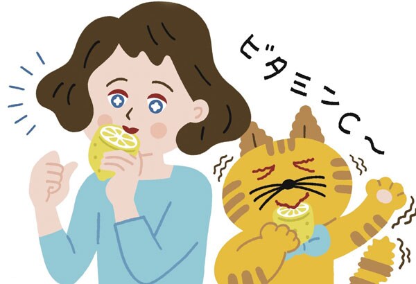 生活習慣編7:ビタミンCをたっぷりとると美白によい?