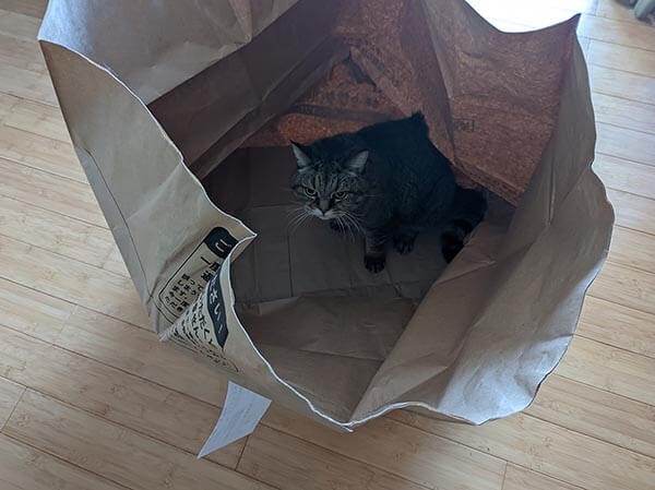 服も靴もバッグも袋にポイポイ入れていくだけ！