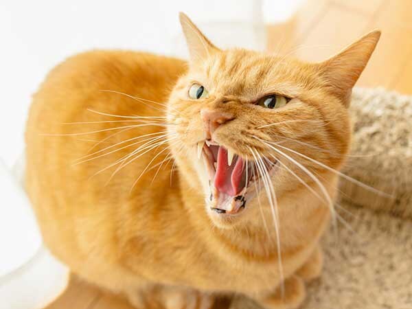 【きっかけ5】意図せず人に嫌な思いをさせてしまったとき