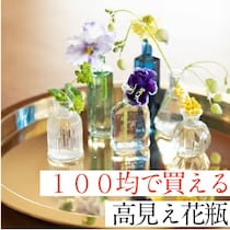 【100均】プロおすすめ！100均で買える高見え花瓶＆おしゃれに飾るコツ