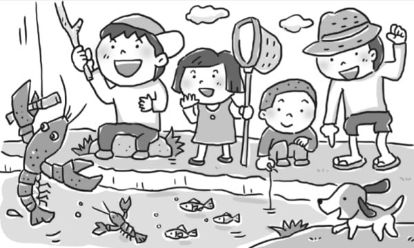 アタマの体操:鏡像まちがい探し(上)