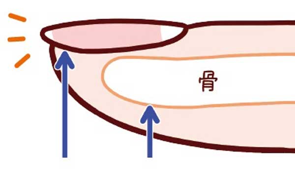実は“力を入れるためのパーツ”。爪がある本当の理由