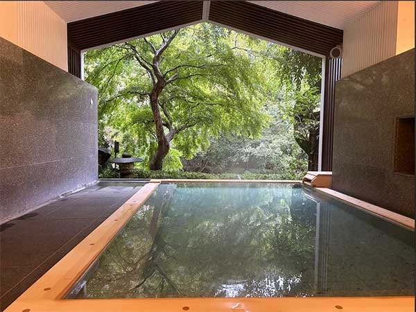 外国人観光客にも人気！バスで芦ノ湖へ