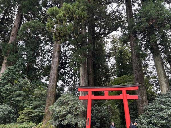 半日あれば叶う！運気の総仕上げみたいな箱根時間