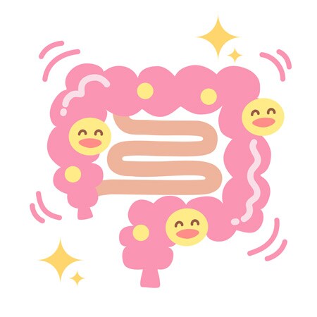 小豆の食物繊維はゴボウの4倍！