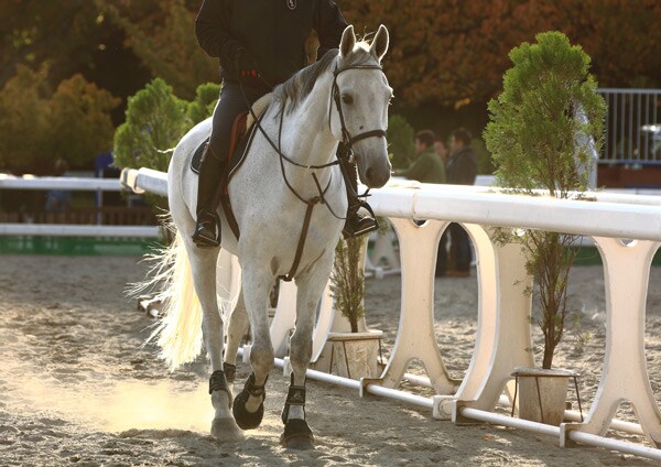 年齢に関係ない楽しみ