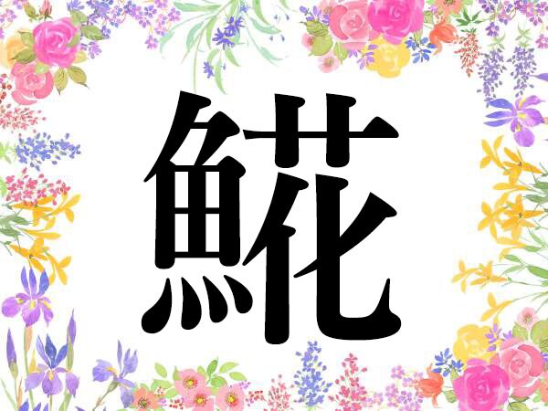 【オトナの難読漢字】「鯡」「鰌」「鮗」...なじみのあるあの魚、いくつ読める?
