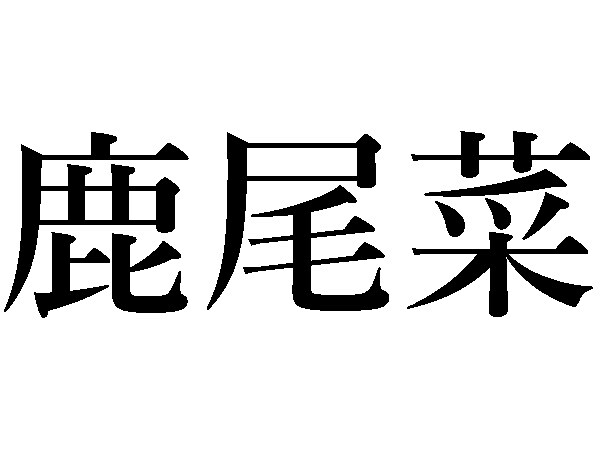鹿尾菜