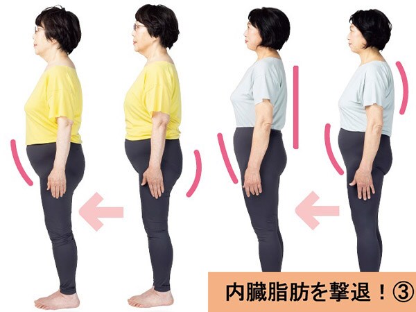 3週間で腹囲最大－6cm！50代60代女性が効果を実感「内臓脂肪撃退プログラム」【体験談】