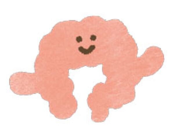 大腸がん　　胃がん　検査